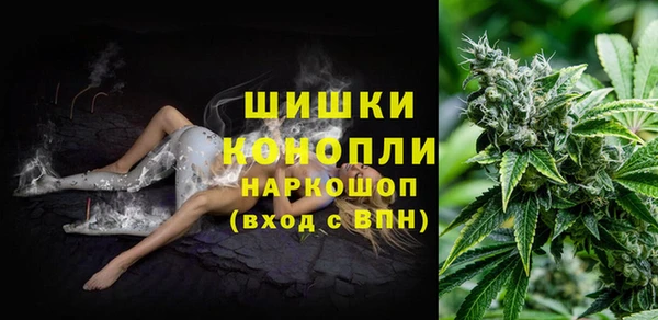 мдпв Верхний Тагил