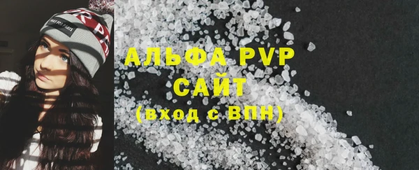 ECSTASY Елизово