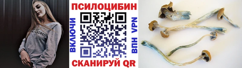 OMG tor  Вязьма  Псилоцибиновые грибы MAGIC MUSHROOMS 
